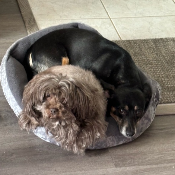 Meet your Posher, - Picture 11 of 11